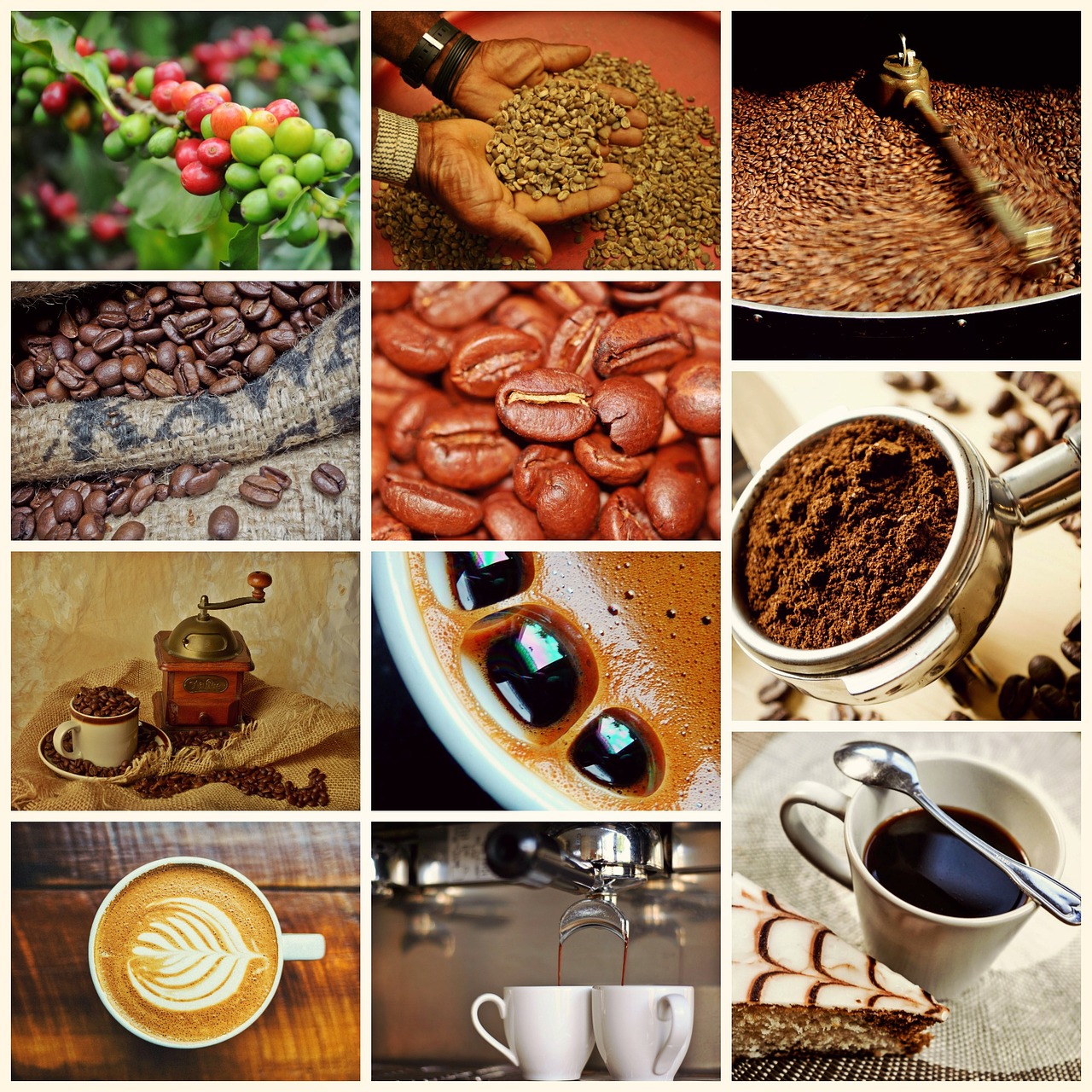 collage, coffee, coffee shop-1572905.jpg